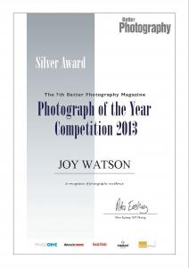 Artists Joy Watson Receives A Silver And Two Bronze Awards